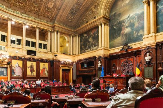 De Belgische Senaat tijdens Het Schrijversparlement